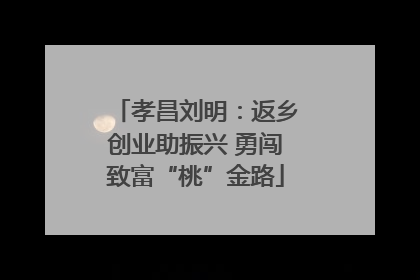 孝昌刘明：返乡创业助振兴 勇闯致富“桃”金路