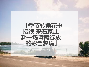 季节转角花事接续 来石家庄赴一场鸢尾绽放的彩色梦境