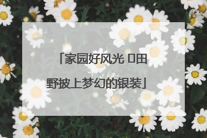 家园好风光 ⎮田野披上梦幻的银装