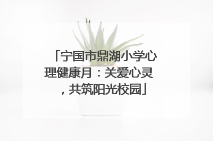 宁国市鼎湖小学心理健康月：关爱心灵，共筑阳光校园