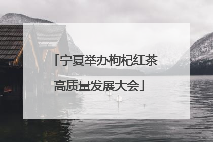 宁夏举办枸杞红茶高质量发展大会