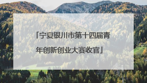 宁夏银川市第十四届青年创新创业大赛收官