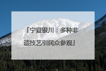 宁夏银川：多种非遗技艺引民众参观