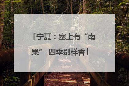 宁夏：塞上有“南果” 四季别样香