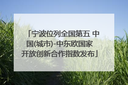 宁波位列全国第五 中国(城市)-中东欧国家开放创新合作指数发布