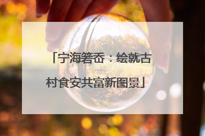 宁海箬岙：绘就古村食安共富新图景
