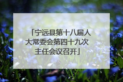 宁远县第十八届人大常委会第四十九次主任会议召开