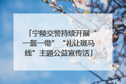 宁陵交警持续开展“一盔一带”“礼让斑马线”主题公益宣传活