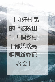 守好村民的“饭碗田”！桐乡村干部凭啥亮相国新办记者会