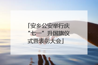 安乡公安举行庆“七一”升国旗仪式暨表彰大会