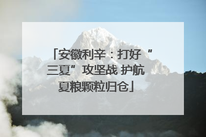 安徽利辛：打好“三夏”攻坚战 护航夏粮颗粒归仓