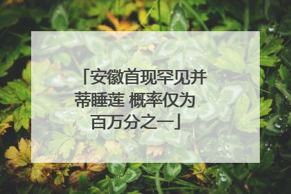 安徽首现罕见并蒂睡莲 概率仅为百万分之一