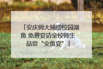 安庆师大捕捞校园湖鱼 免费宴请全校师生品尝“全鱼宴”