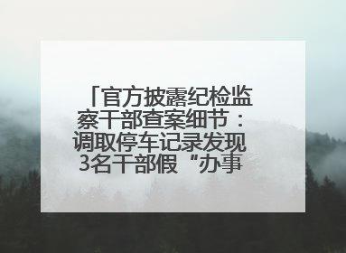 官方披露纪检监察干部查案细节：调取停车记录发现3名干部假“办事”真麻将