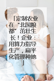 定制农业在“北国粮都”茁壮生长！企业：用算力指导生产，扁平化管理种地