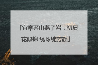 宜章莽山燕子岩：初夏花似锦 绣球绽芳颜