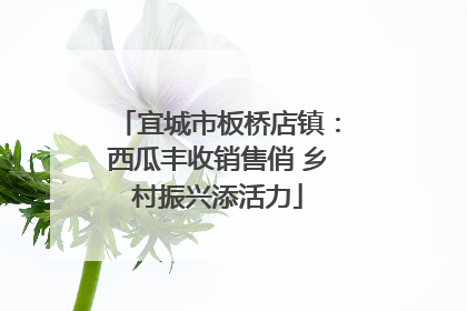 宜城市板桥店镇：西瓜丰收销售俏 乡村振兴添活力