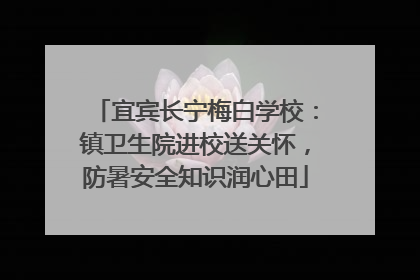 宜宾长宁梅白学校：镇卫生院进校送关怀，防暑安全知识润心田
