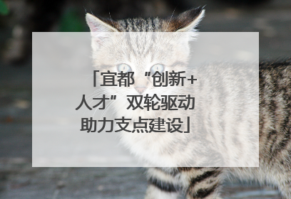 宜都“创新+人才”双轮驱动助力支点建设