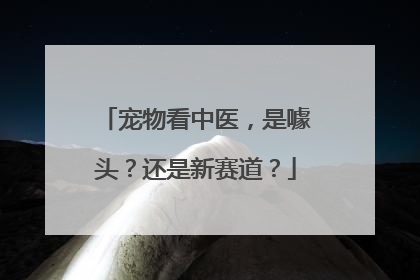 宠物看中医，是噱头？还是新赛道？