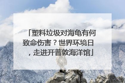塑料垃圾对海龟有何致命伤害？世界环境日，走进开普敦海洋馆