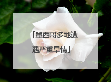 墨西哥多地遭遇严重旱情