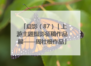 夏影（87）｜上游主题摄影征稿作品展——周社根作品