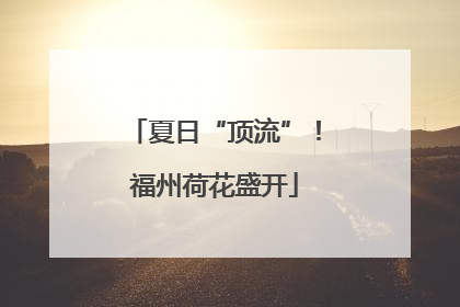 夏日“顶流”！福州荷花盛开
