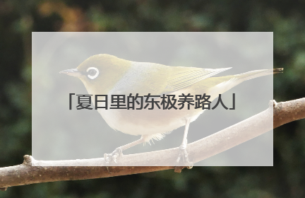 夏日里的东极养路人