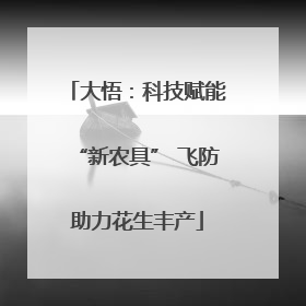 大悟：科技赋能“新农具” 飞防助力花生丰产