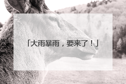 大雨暴雨，要来了！