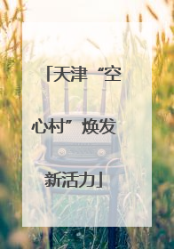 天津“空心村”焕发新活力