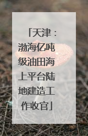 天津：渤海亿吨级油田海上平台陆地建造工作收官