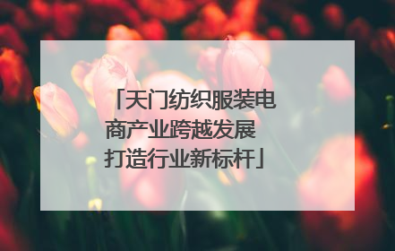 天门纺织服装电商产业跨越发展 打造行业新标杆