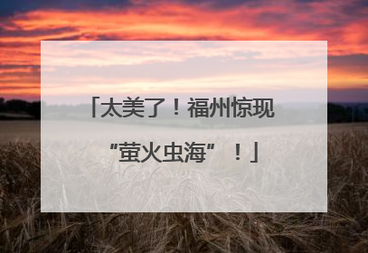 太美了！福州惊现“萤火虫海”！