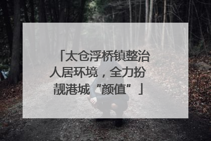太仓浮桥镇整治人居环境，全力扮靓港城“颜值”
