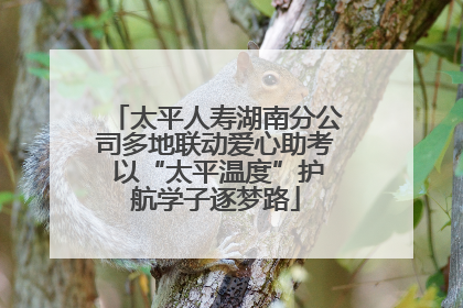 太平人寿湖南分公司多地联动爱心助考 以“太平温度”护航学子逐梦路