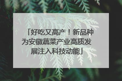 好吃又高产！新品种为安徽蔬菜产业高质发展注入科技动能