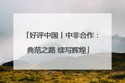 好评中国丨中非合作：典范之路 续写辉煌