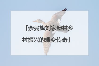 奈曼旗刘家堡村乡村振兴的蝶变传奇