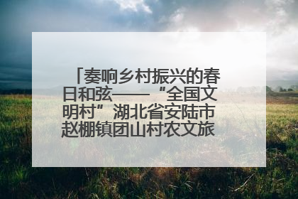 奏响乡村振兴的春日和弦——“全国文明村”湖北省安陆市赵棚镇团山村农文旅融合发展见闻