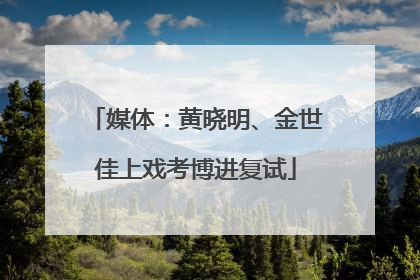 媒体：黄晓明、金世佳上戏考博进复试