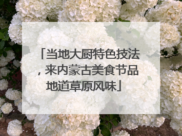 当地大厨特色技法，来内蒙古美食节品地道草原风味