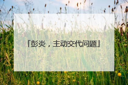 彭炎，主动交代问题