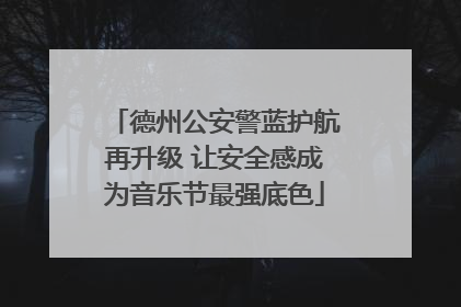 德州公安警蓝护航再升级 让安全感成为音乐节最强底色
