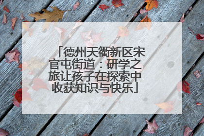 德州天衢新区宋官屯街道：研学之旅让孩子在探索中收获知识与快乐