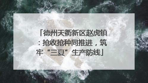 德州天衢新区赵虎镇：抢收抢种同推进，筑牢“三夏”生产防线