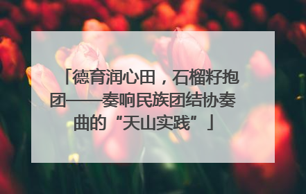 德育润心田，石榴籽抱团——奏响民族团结协奏曲的“天山实践”