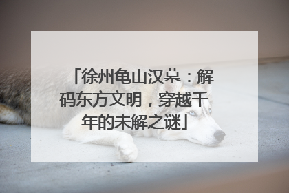 徐州龟山汉墓：解码东方文明，穿越千年的未解之谜