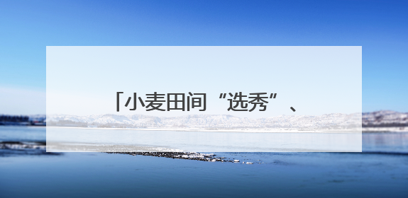 小麦田间“选秀”、蚕房变“流水线”……三夏收获正在进行